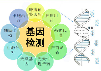 iGeneTech 基因捕獲技術(shù)助力療養(yǎng)院降低基因檢測成本